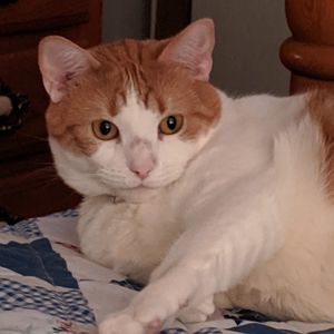 Meet your Posher, Donna